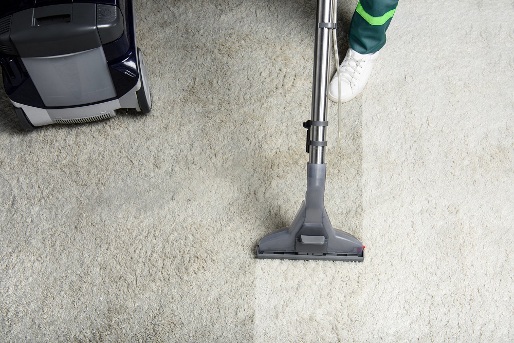 Professional carpet cleaning in progress - a clean stripe through a grey carpet